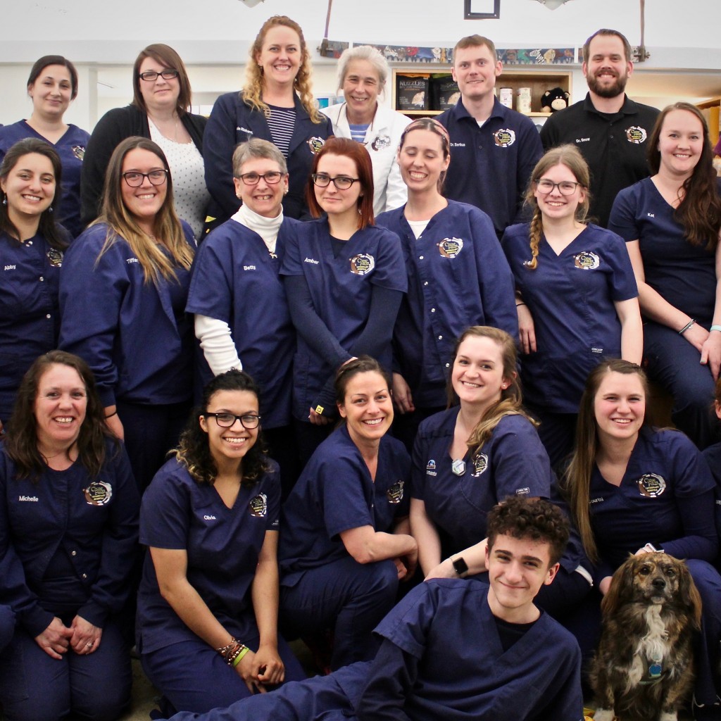 All Staff April 2018 Chase Farm Veterinary Hospital