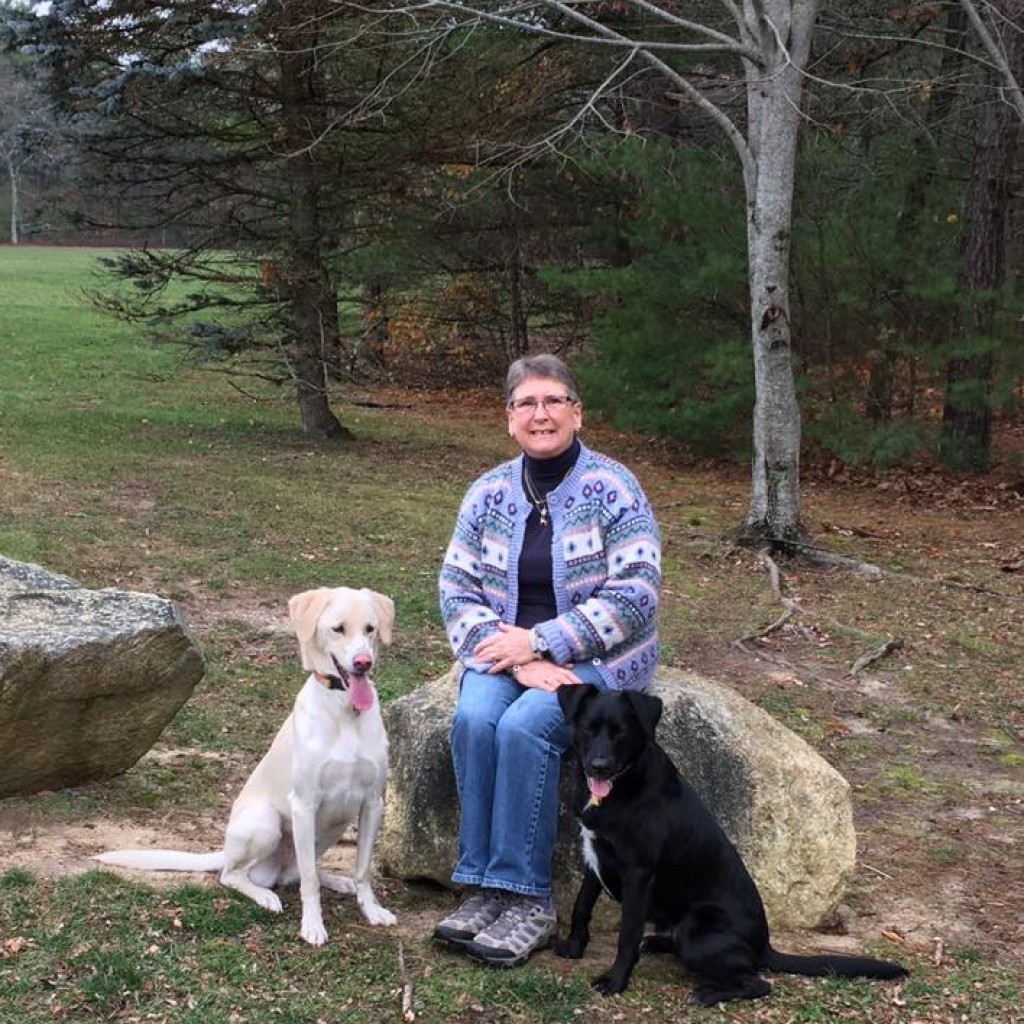 betty Chase Farm Veterinary Hospital