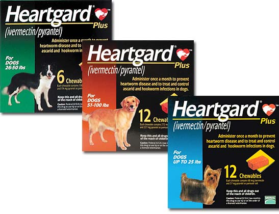 heartworm with flea and tick