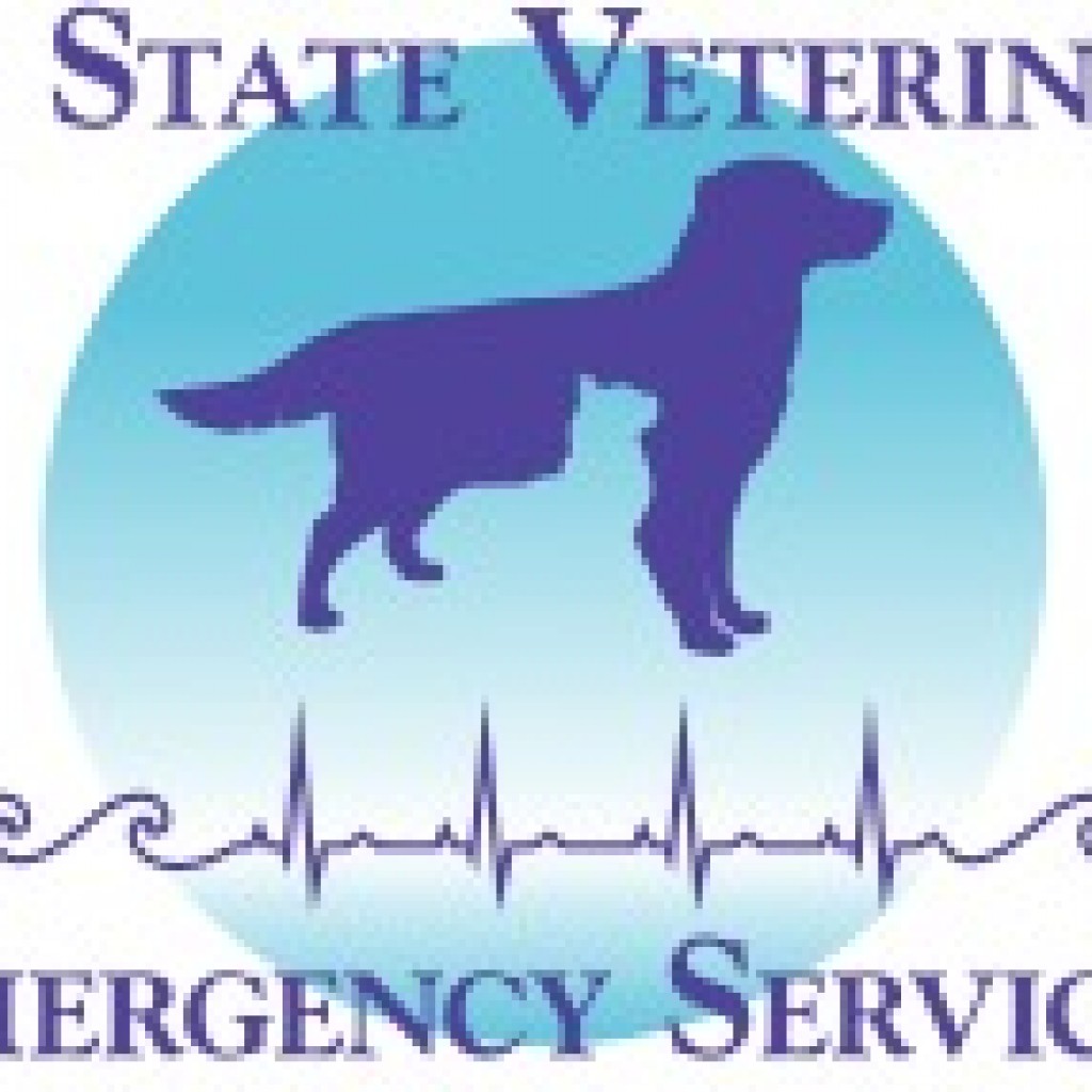 Contact Us Chase Farm Veterinary Hospital