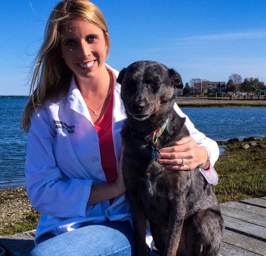 WG Chase Farm Veterinary Hospital