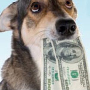 Pet Savings