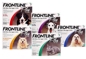 cfvh-pictures frontline boxes