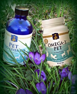 cfvh-pictures-nordic-naturals-pet-omega-3-248x300