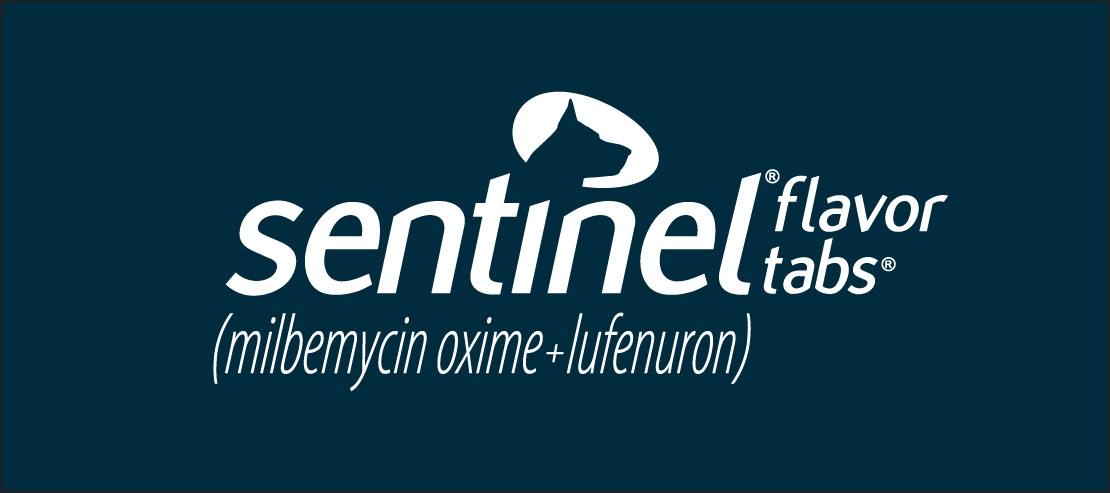 Sentinel Logo_WhiteOn_309CP  070813