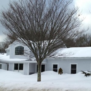 Chase Farm Veterinary Clinic