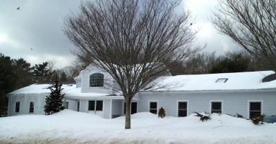 Chase Farm Veterinary Clinic