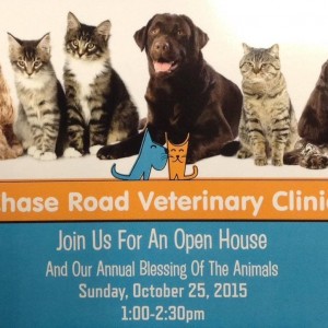 CFVC Open House Flyer