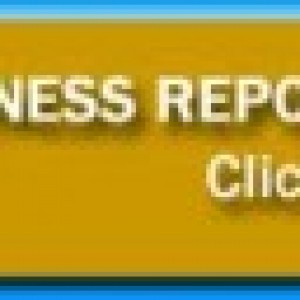 Image Link to the Pet Wellness Report Page