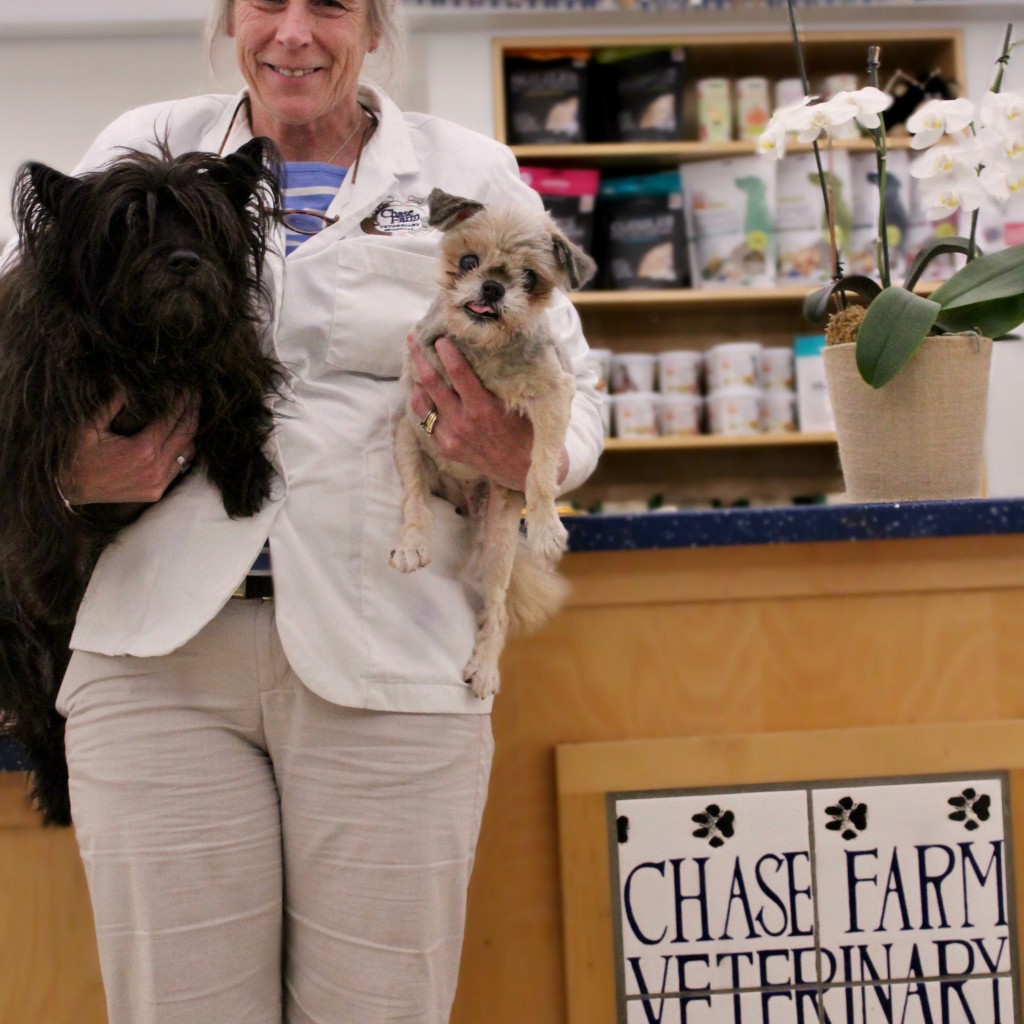 JP Full 1 Chase Farm Veterinary Hospital